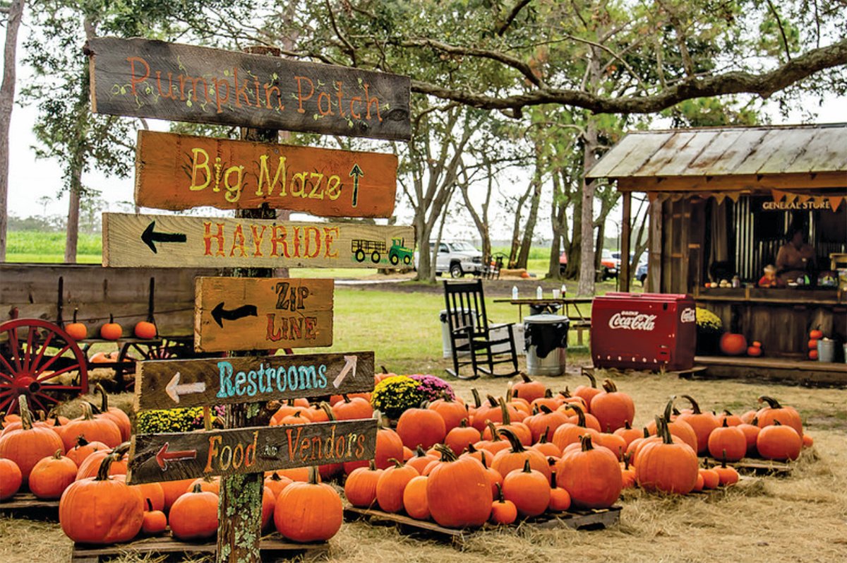KENANSVILLE — Partin Ranch Corn Maze and Fall Festival in Kenansville offers 22 acres of festivities to help get you into the fall spirit.